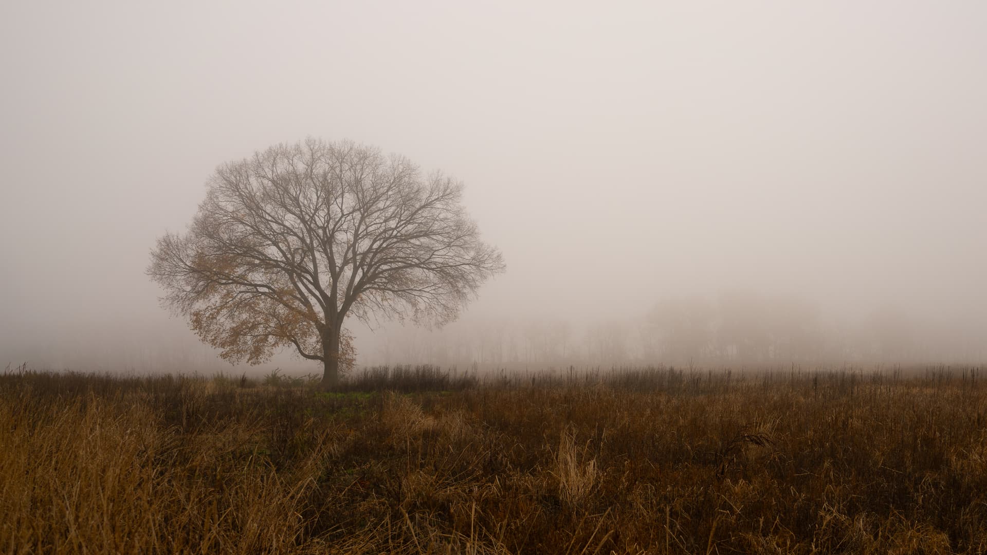 website/IG-1-10_fe5eje