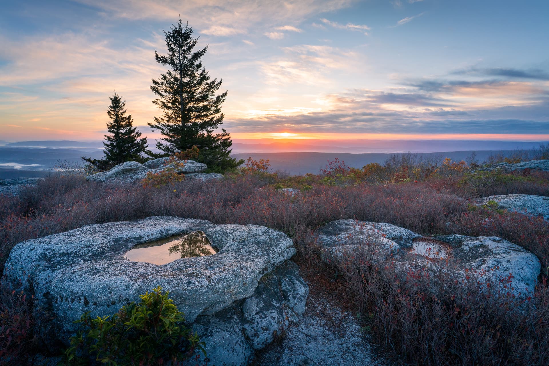 website/IG-1-17_ficfst