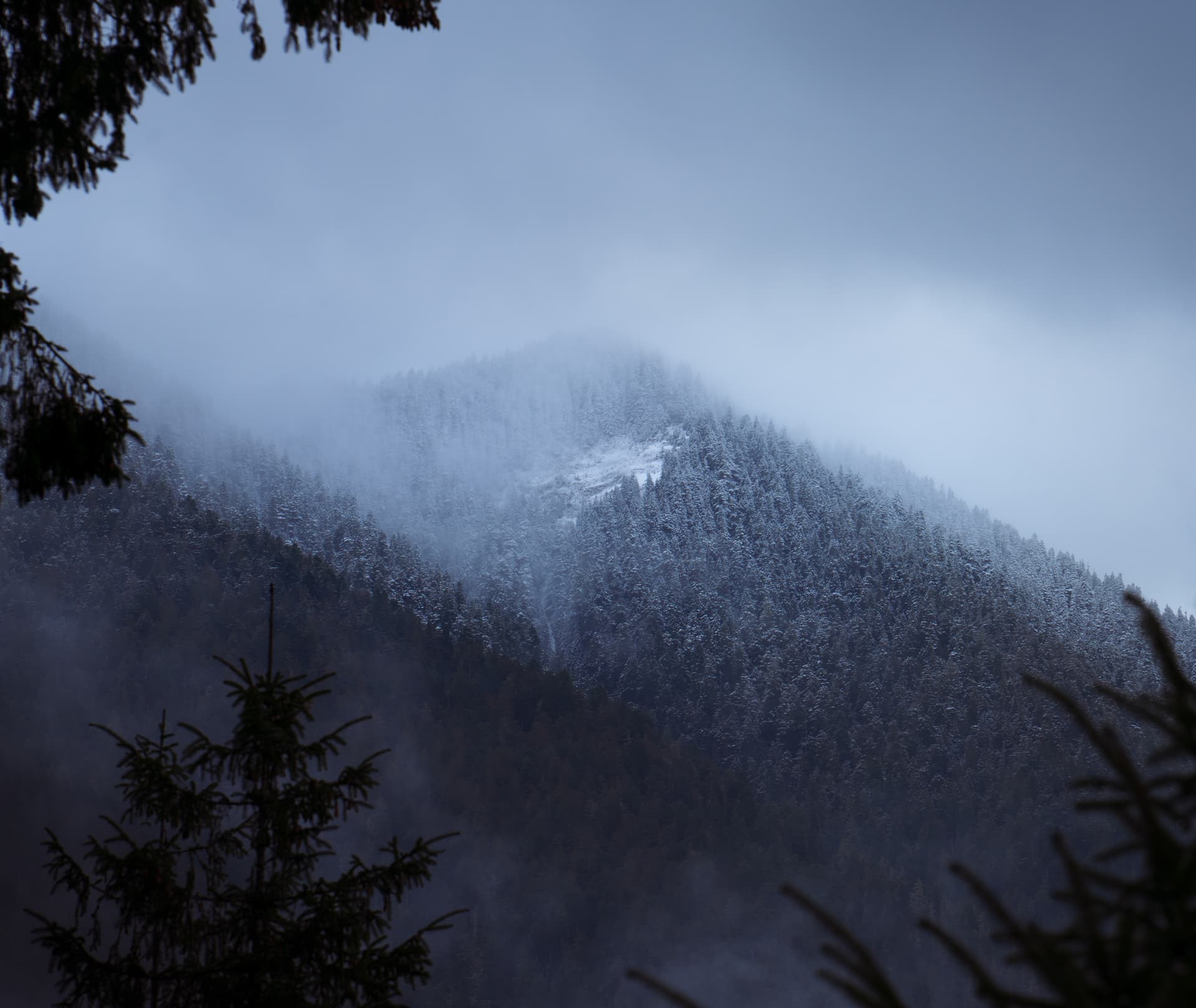 website/_DSC3767-2_avywgy