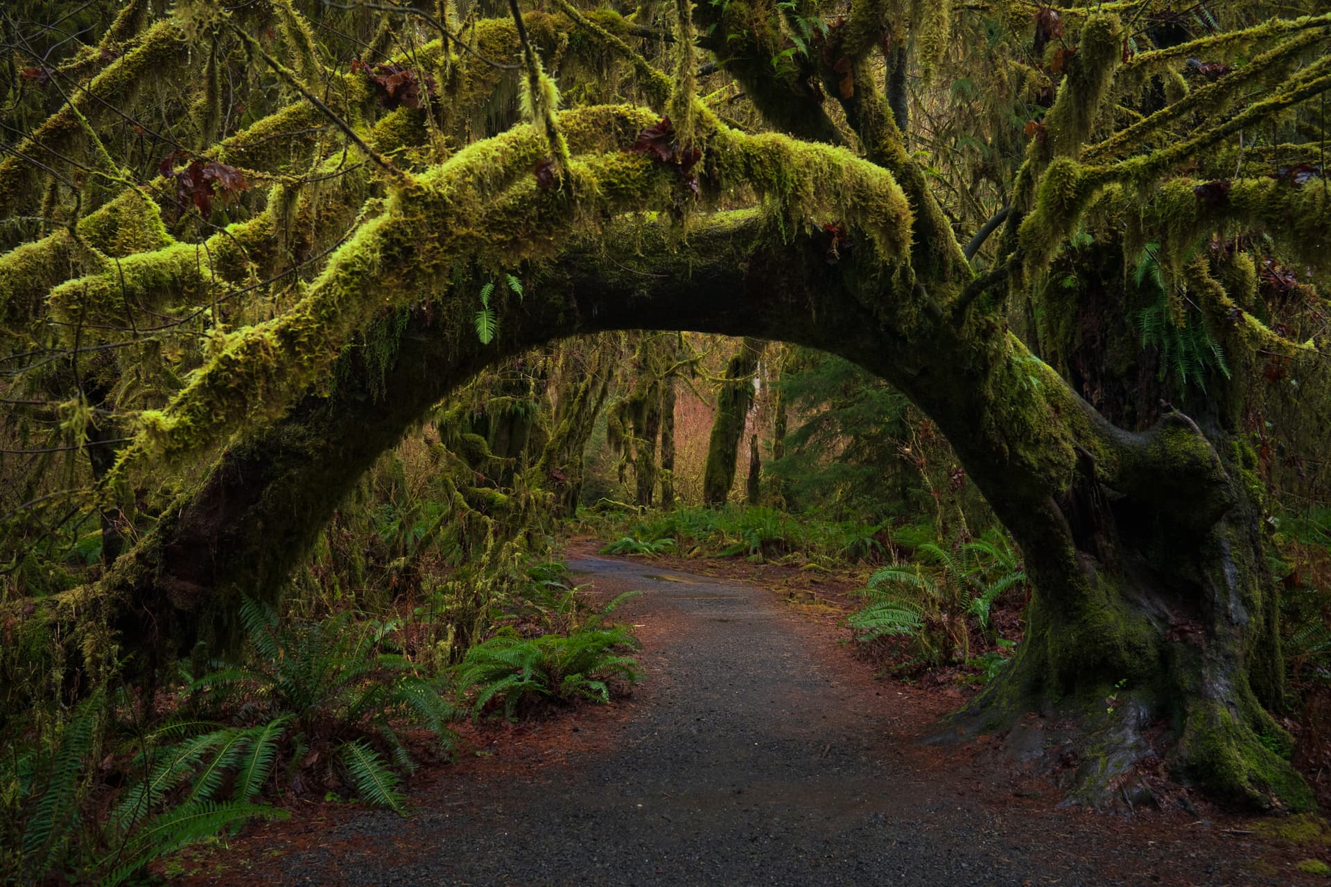 website/agzy3ta1uohqix3chdsh