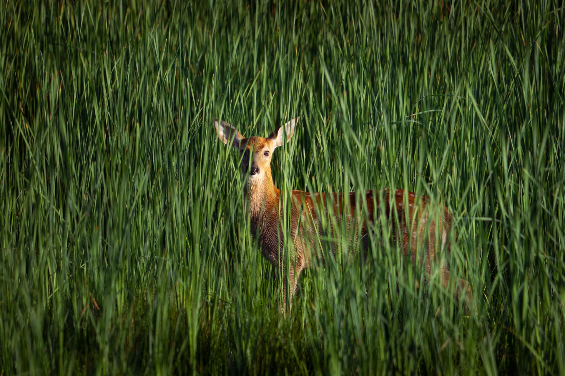 website/c6umwywyrwnvww8f5xqe