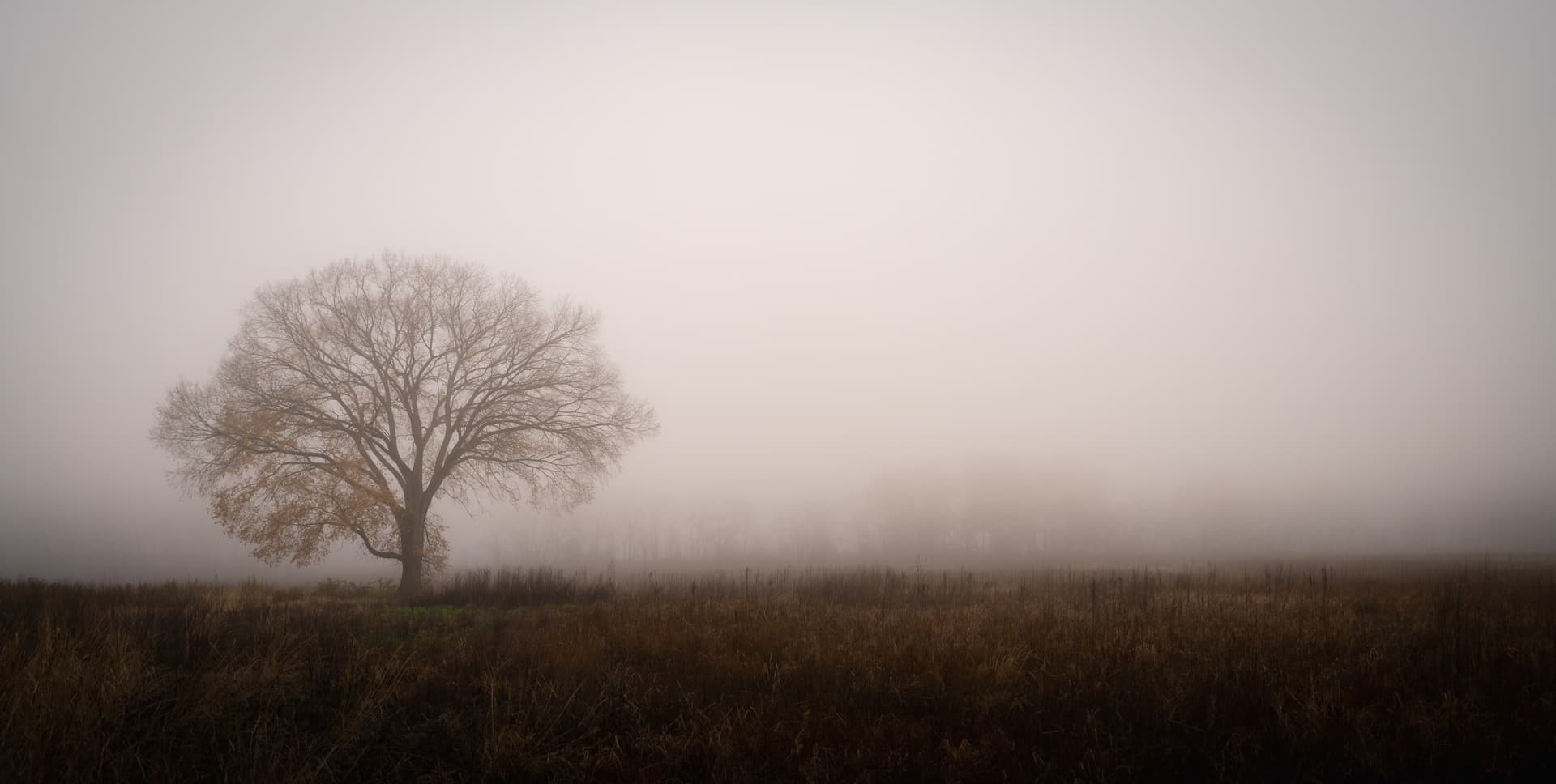 website/cxrbfsdunna8diuzl9q2