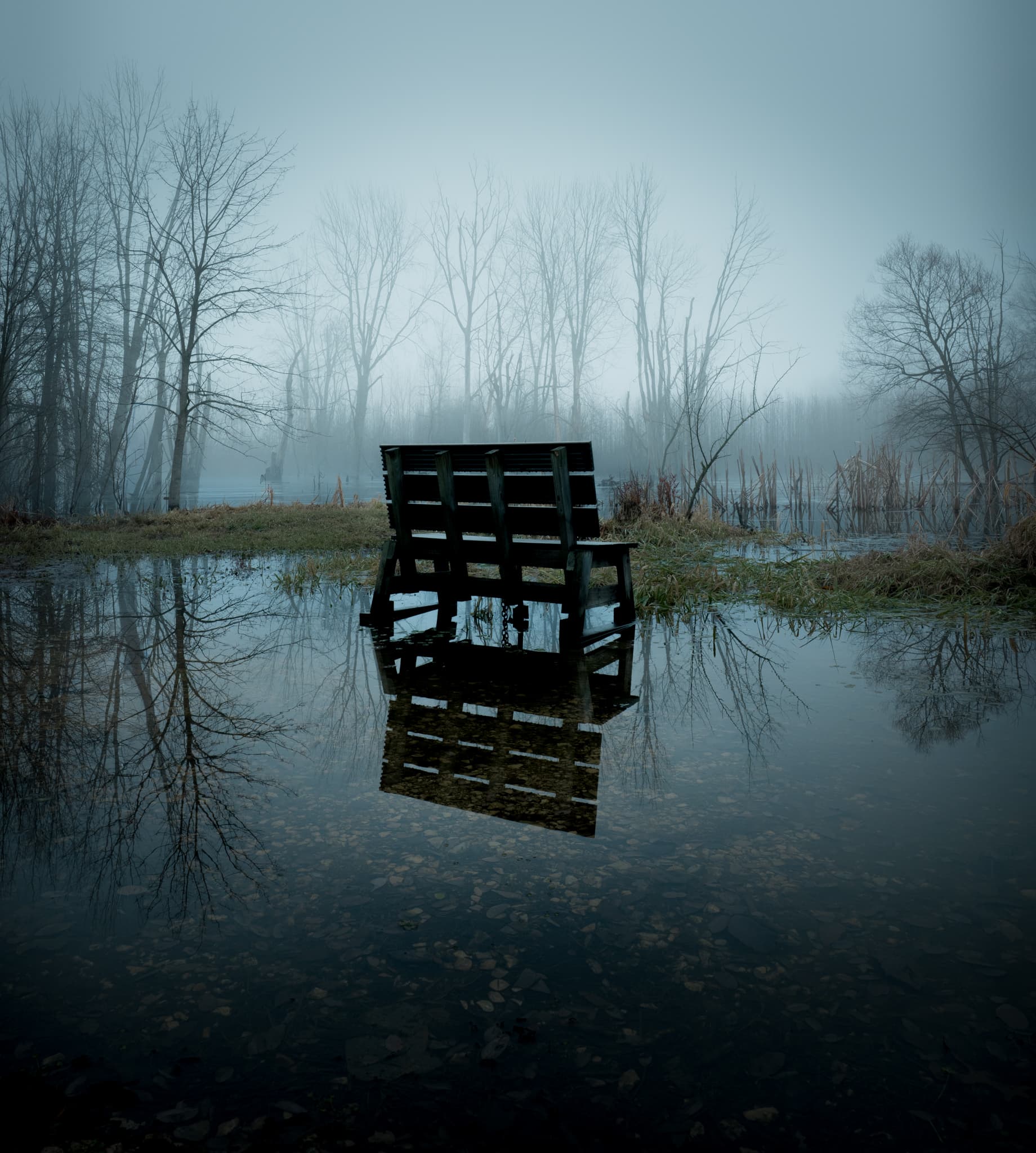 website/dmgv2xodltjpvjaqu1ll