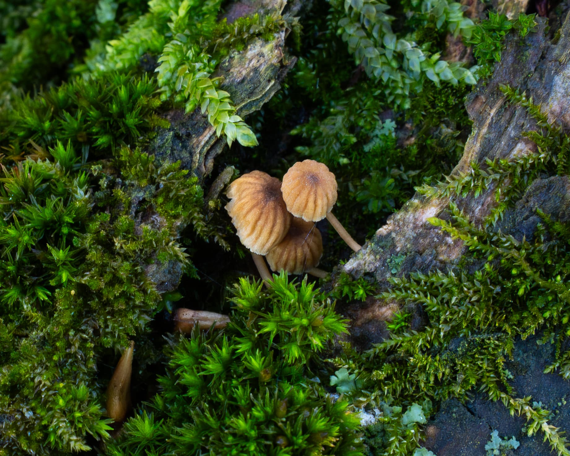 website/jxt7cfgeuf45dbxpfrim